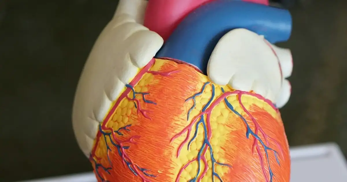 Comment l&rsquo;IA révolutionne l&rsquo;imagerie médicale : IRM scanner et au-delà