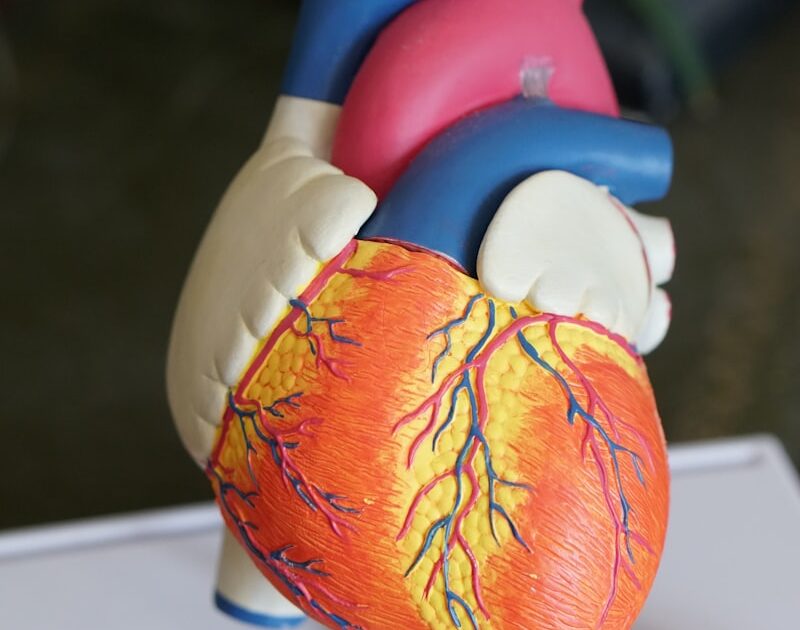 Corée du Sud et Indonésie : téléconsultation IA en phase pilote